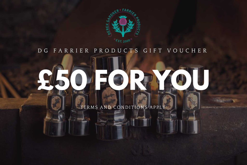 VOUCHERS: the perfect gift at Christmas