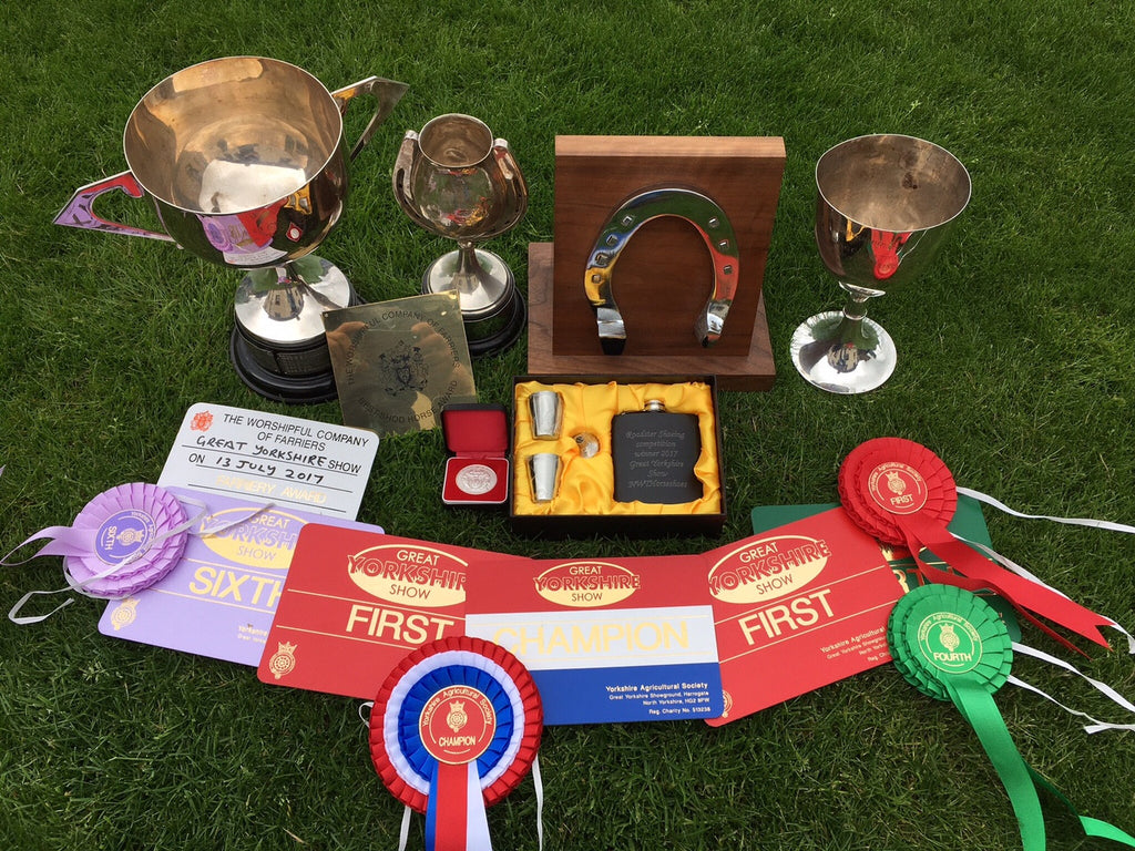Show Champion at Great Yorkshire Show